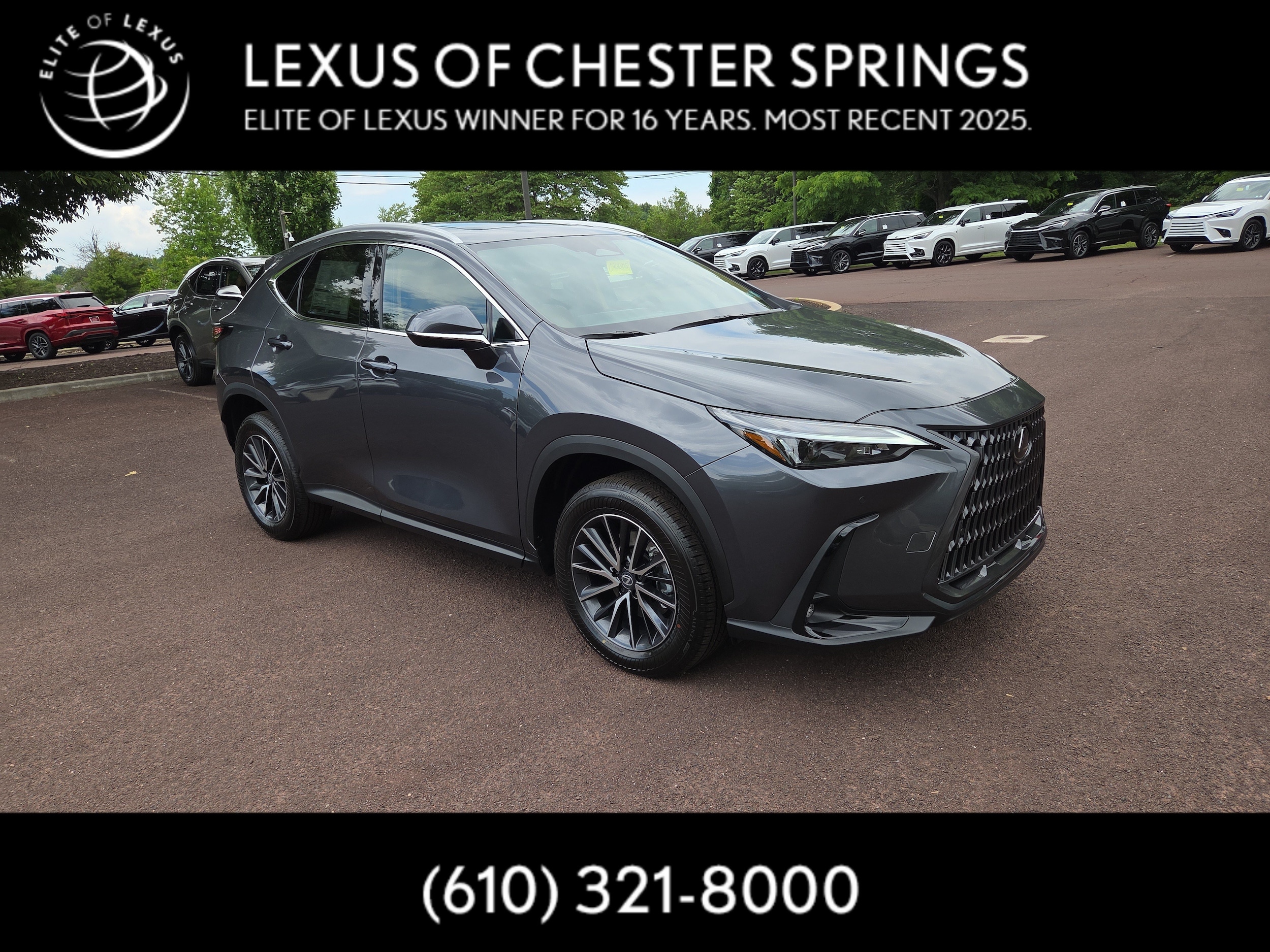 New 2026 LEXUS NX For Sale at Lexus Of Chester Springs | VIN