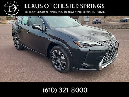 2025 LEXUS UX 300h PREMIUM AWD Sport Utility