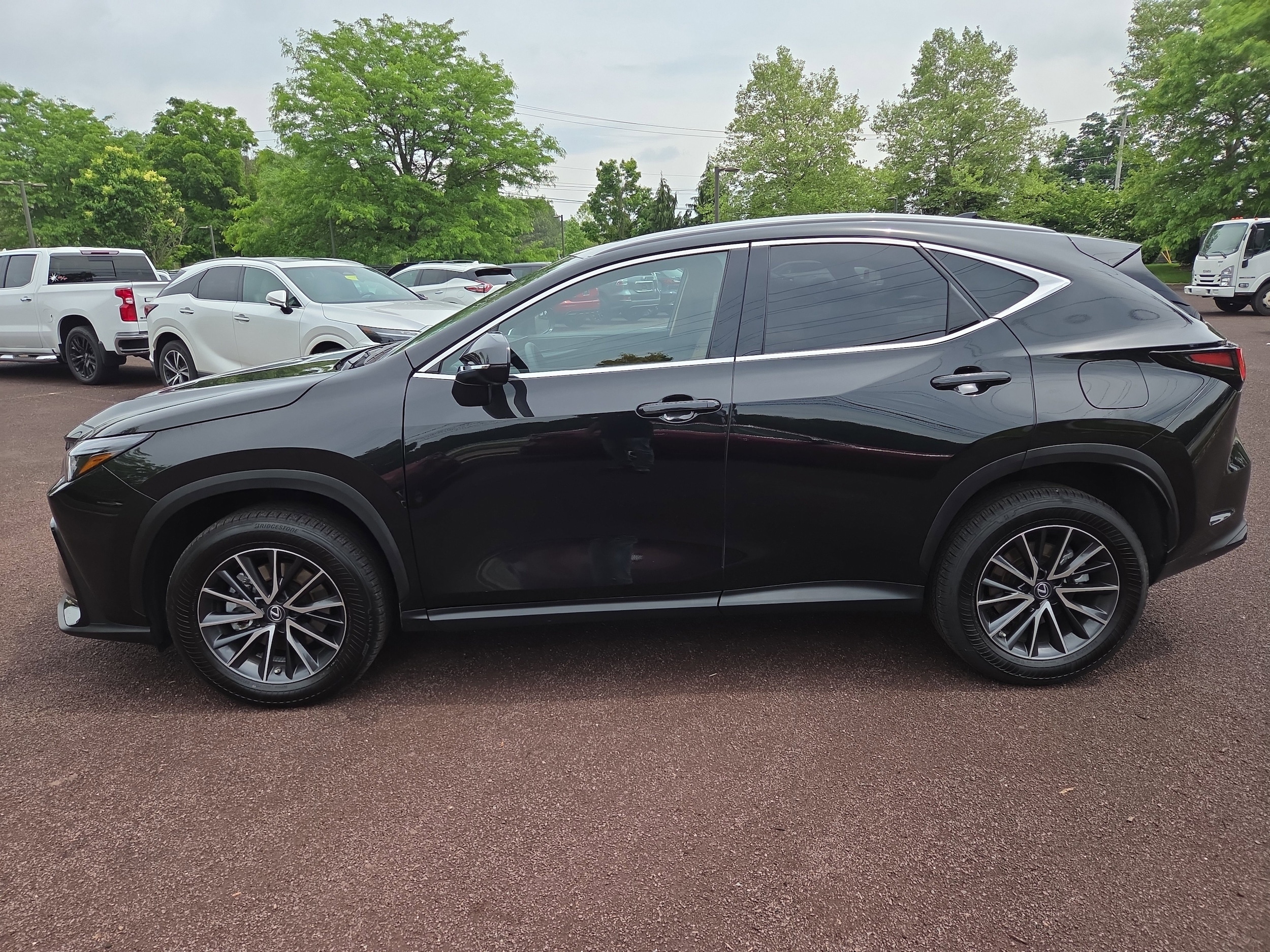 2023 Lexus NX 350 - Photo 6