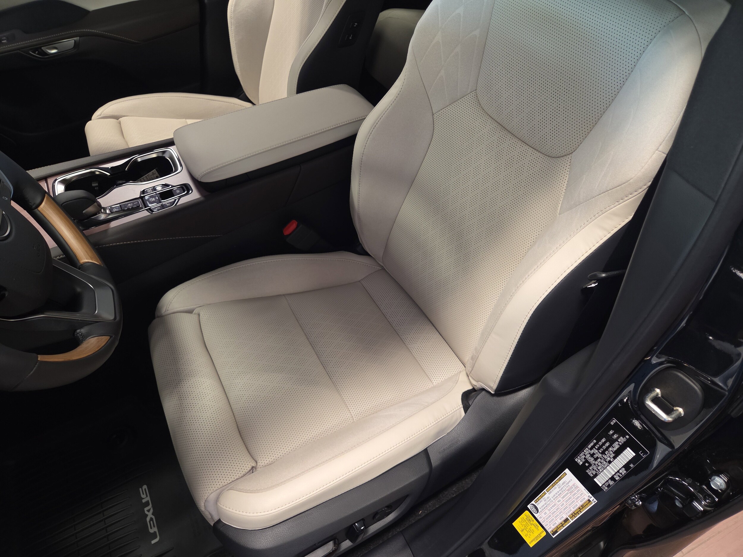 2026 Lexus RX 450h+ Luxury - Photo 6