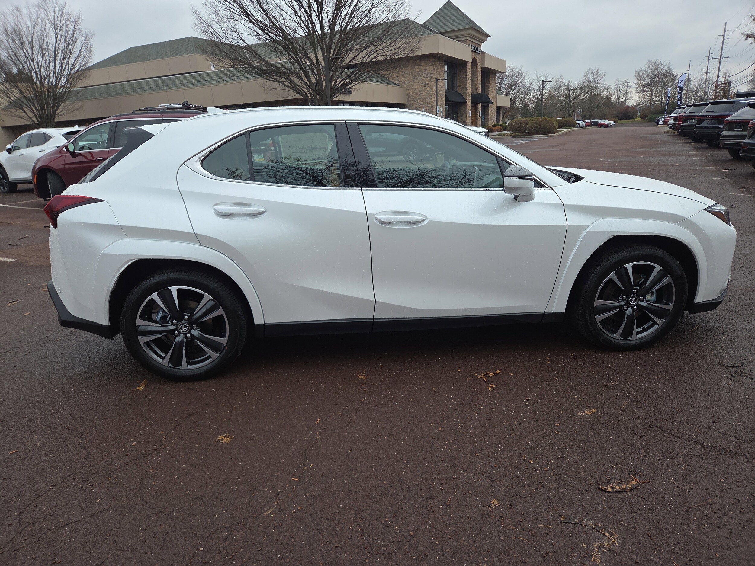 2025 Lexus UX Premium photo 2