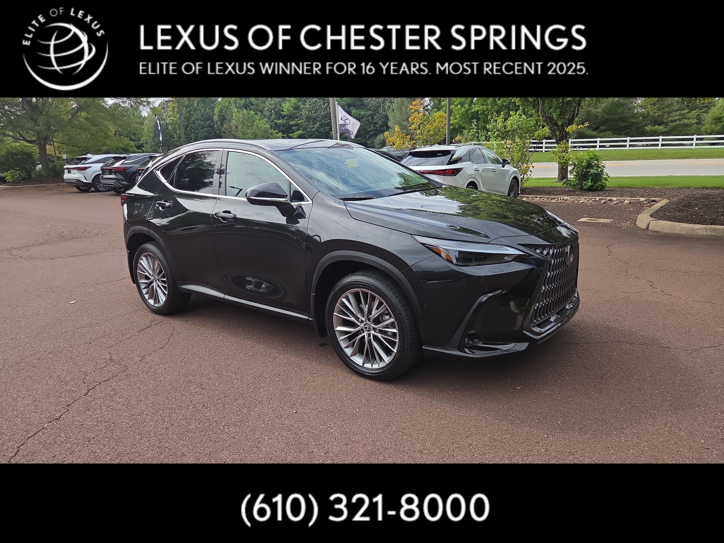 2024 Lexus NX Hybrid 350h