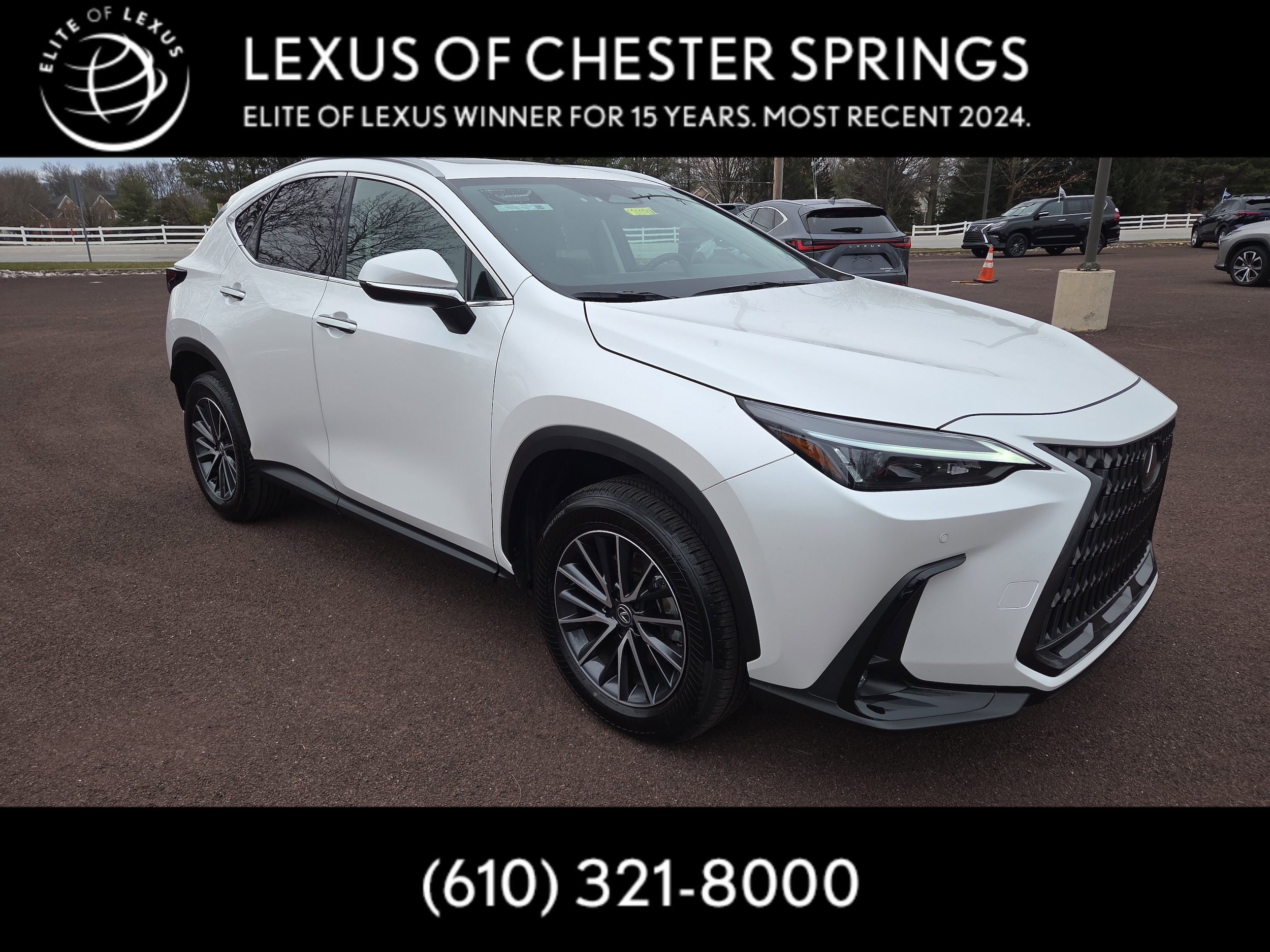 2025 Lexus NX 350's photo