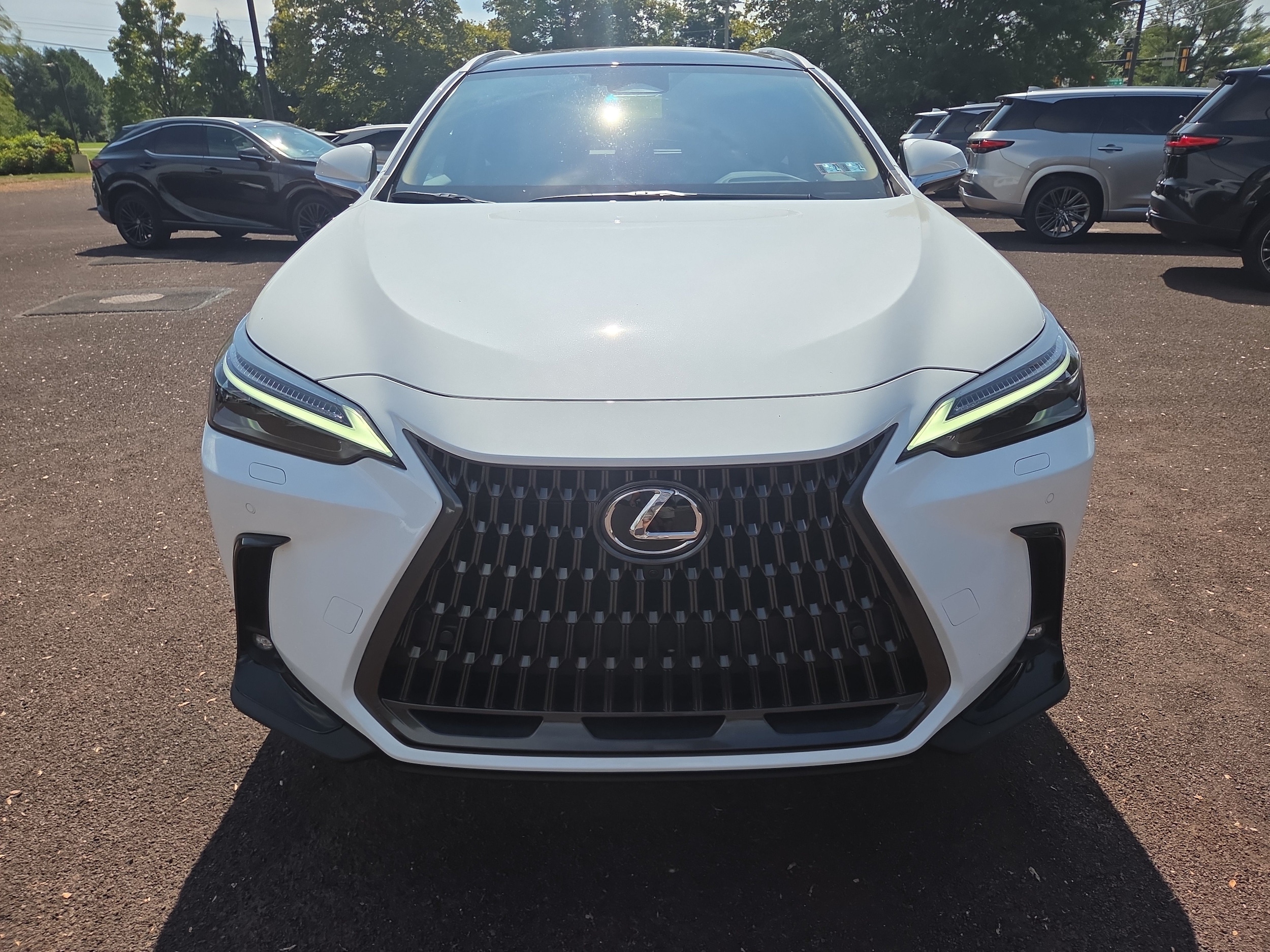 2026 Lexus NX 450h+ Luxury - Photo 6