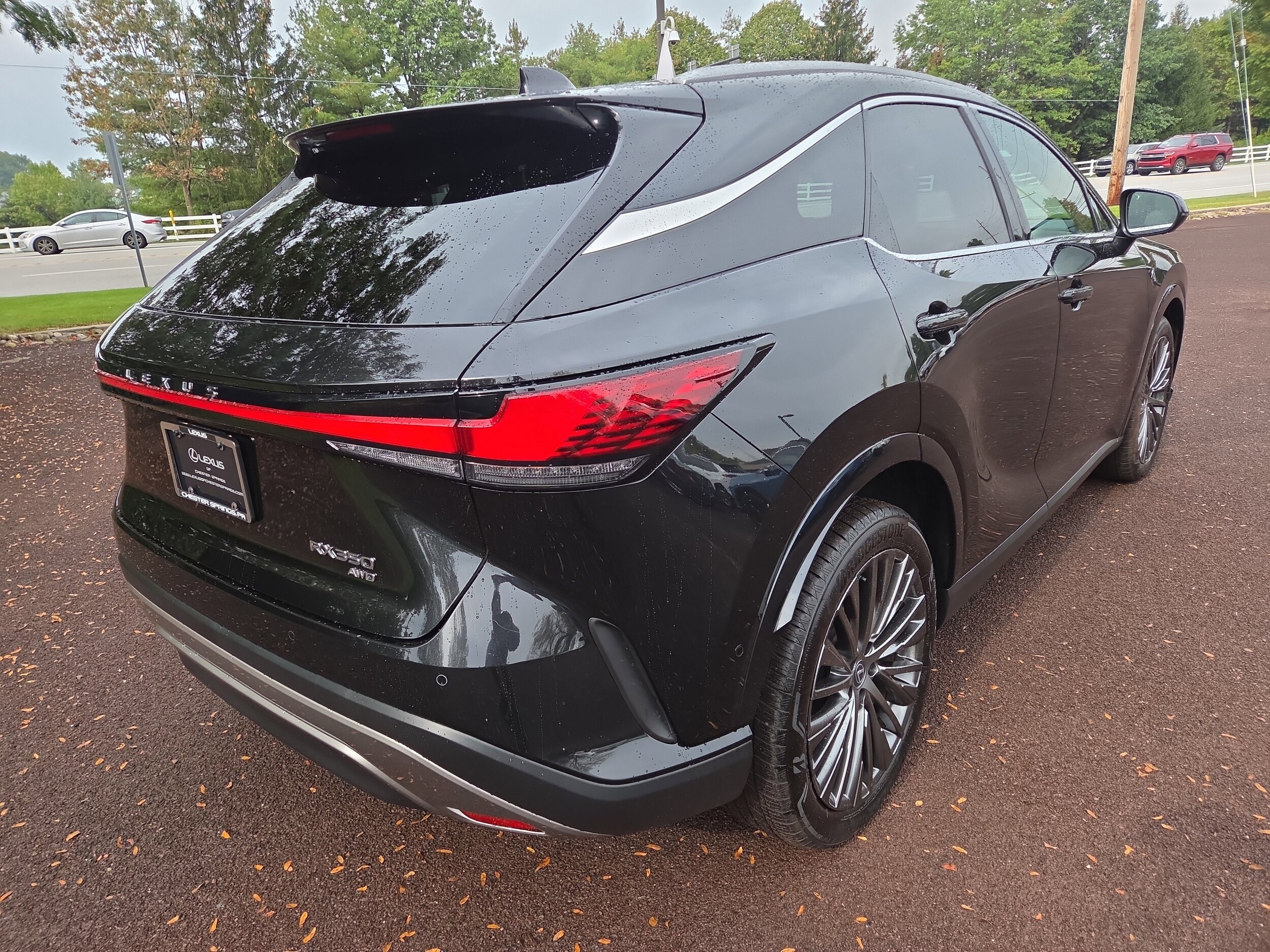 2024 Lexus RX 350 Luxury photo 2