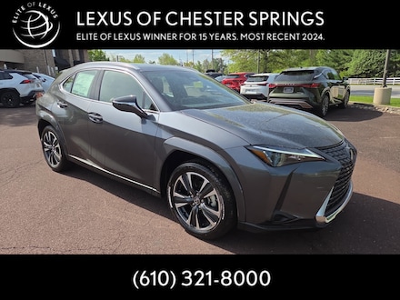 2025 LEXUS UX 300h PREMIUM AWD Sport Utility