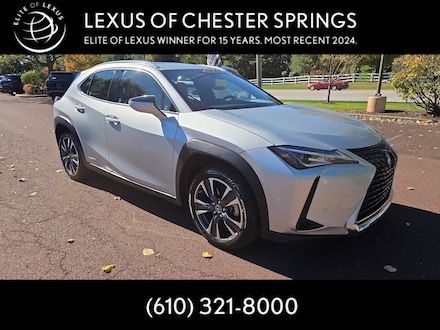 2020 LEXUS UX 250h SUV