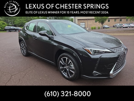 2025 LEXUS UX 300h PREMIUM AWD Sport Utility