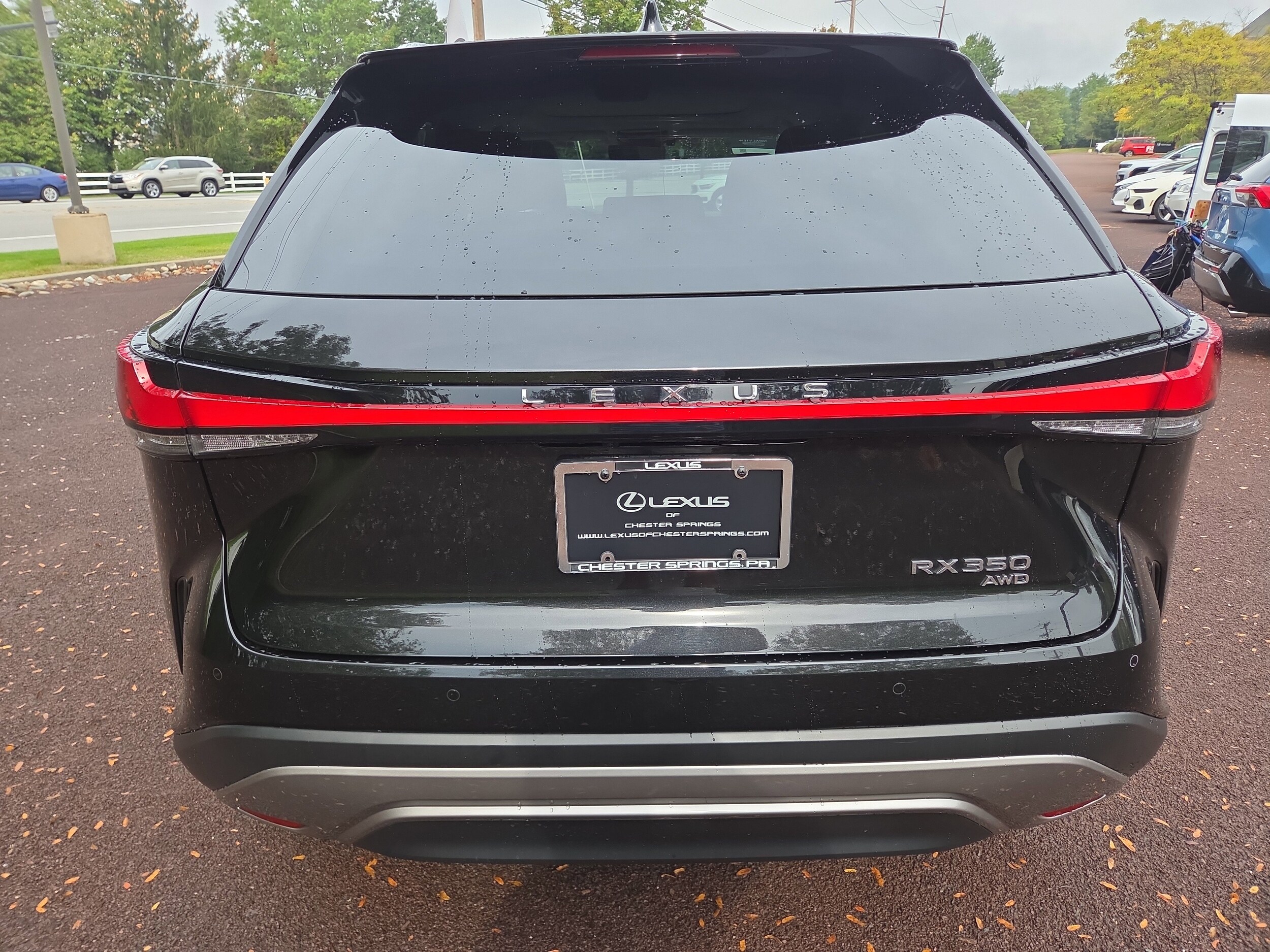 2024 Lexus RX 350 Luxury photo 3