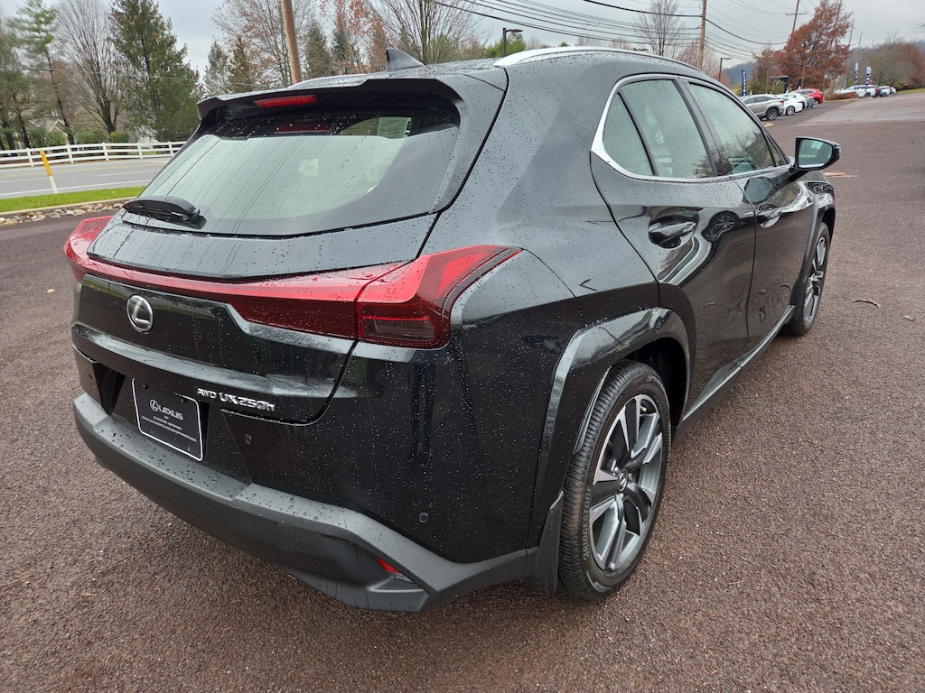 2023 Lexus UX 250h Premium photo 3