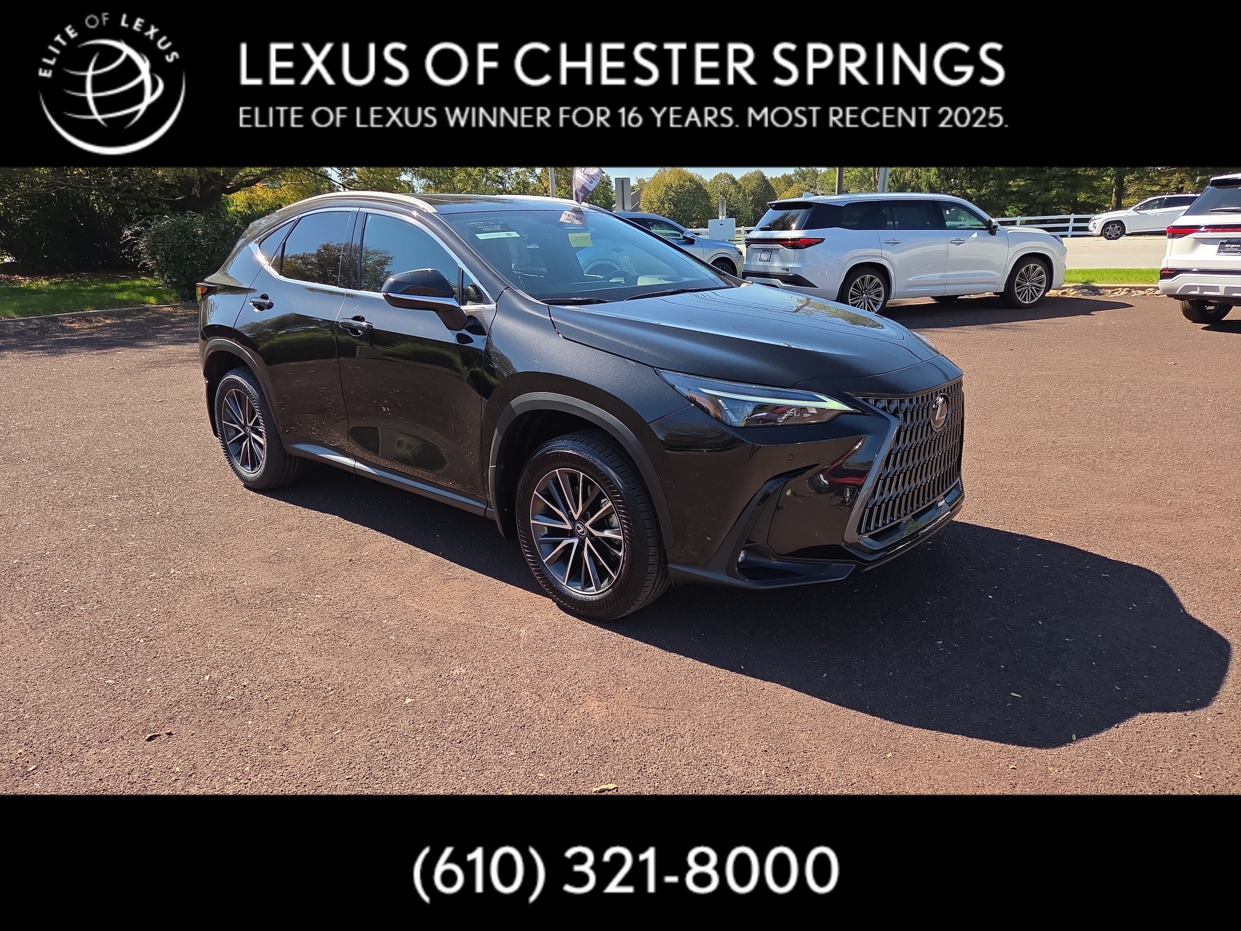 2024 Lexus NX 250