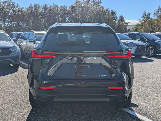 2025 Lexus NX 250 Premium photo 4
