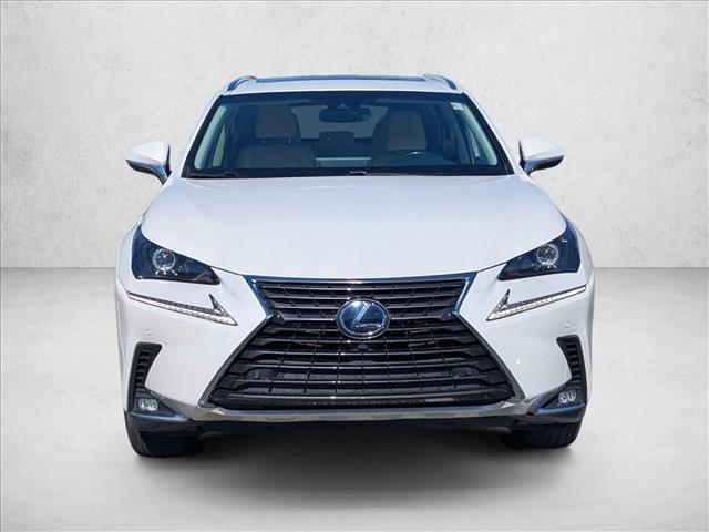 2019 Lexus NX 300h Luxury photo 2