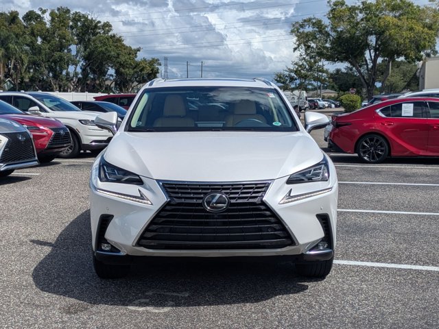 2019 Lexus NX 300 Luxury photo 2