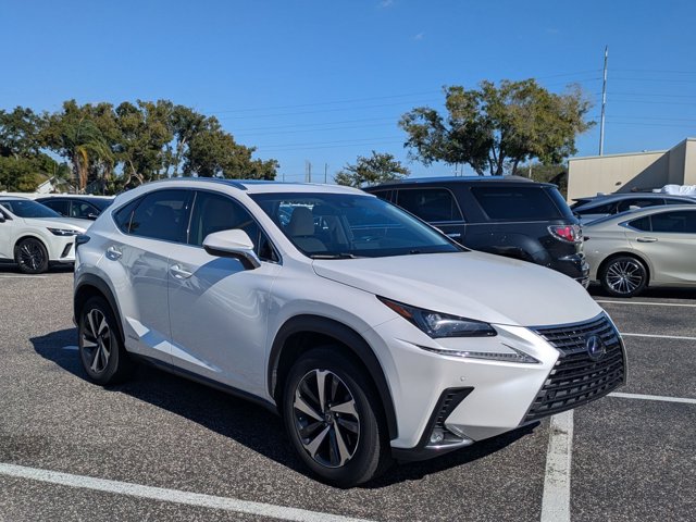 2019 Lexus NX 300h Luxury photo 3