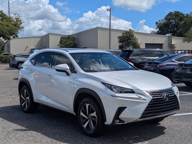 2019 Lexus NX 300 Luxury photo 3