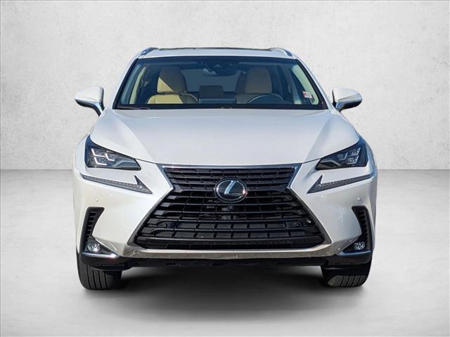 2019 Lexus NX 300 Luxury photo 2
