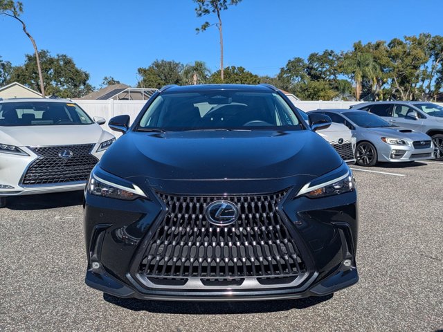2025 Lexus NX 250 Premium photo 2