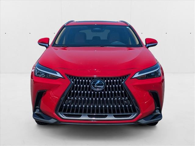 2025 Lexus NX 250 Premium photo 2