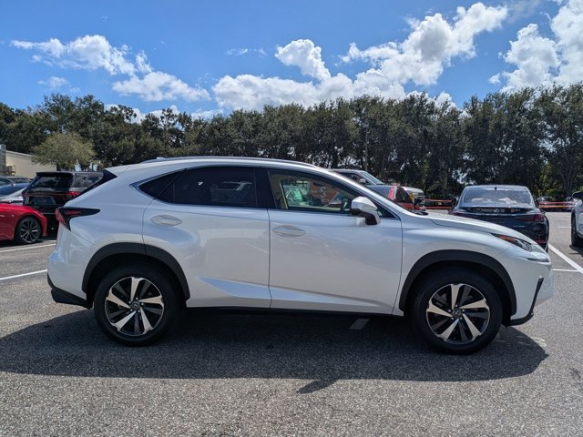 2019 Lexus NX 300 Luxury photo 4