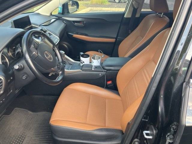 2019 Lexus NX 300h Luxury photo 3