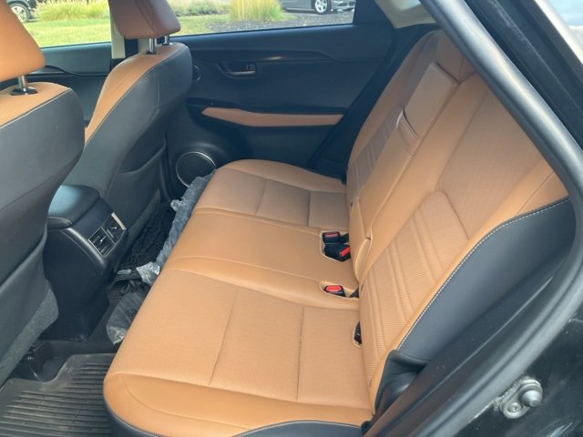 2019 Lexus NX 300h Luxury photo 4
