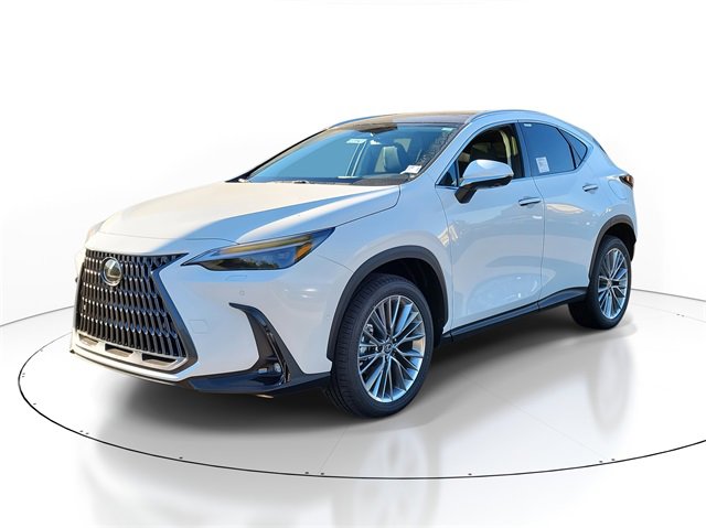 2026 Lexus NX 350 Luxury photo 2