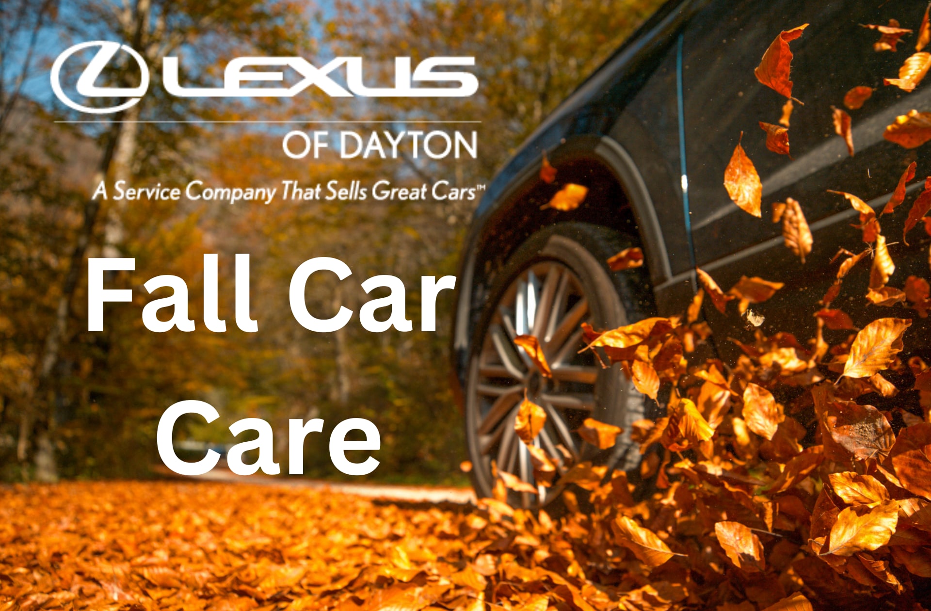 DL2210-Fall Car Care Cover.png