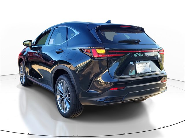 2026 Lexus NX 350 Luxury photo 3