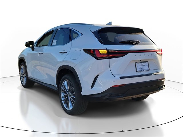 2026 Lexus NX 350 Luxury photo 3
