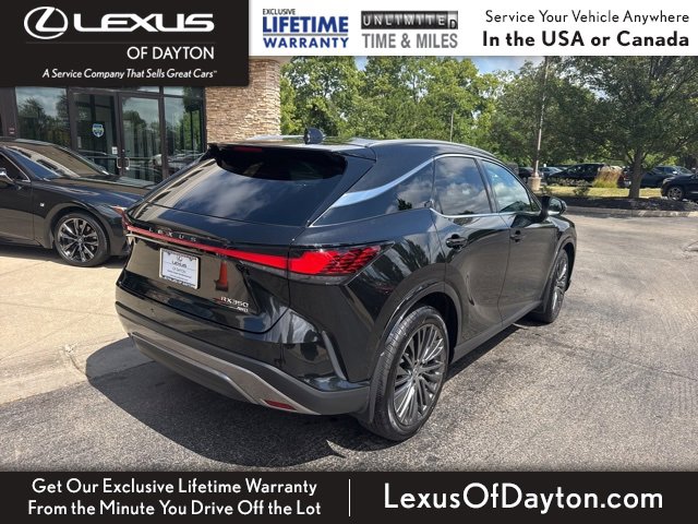 2023 Lexus RX 350 Luxury photo 3