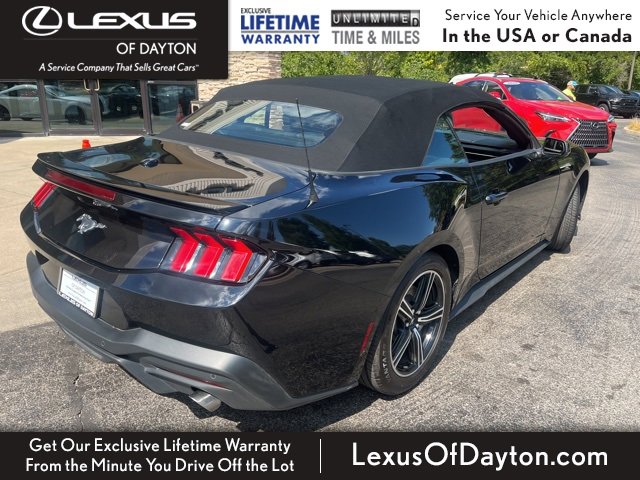 2024 Ford Mustang Convertible photo 3