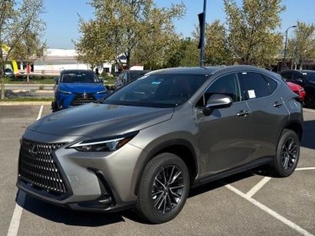 2025 Lexus NX 350 - Photo 9