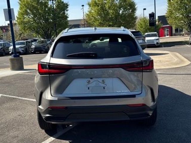 2025 Lexus NX 350 - Photo 14