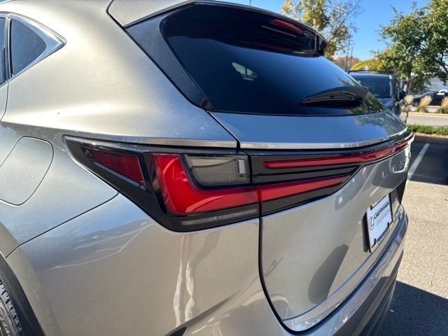 2025 Lexus NX - Photo 19