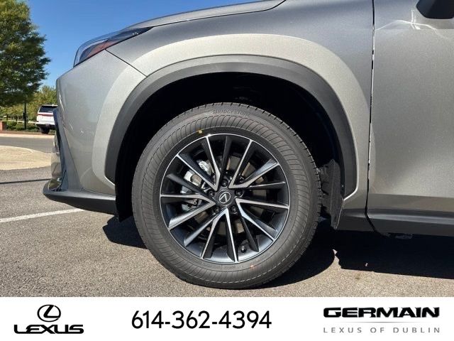2025 Lexus NX - Photo 13