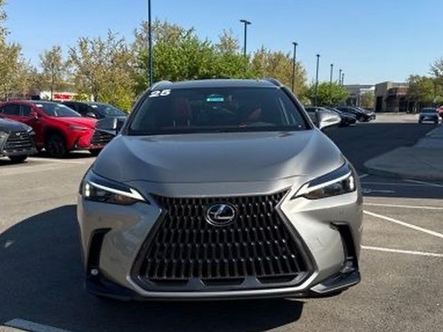 2025 Lexus NX 350 - Photo 10