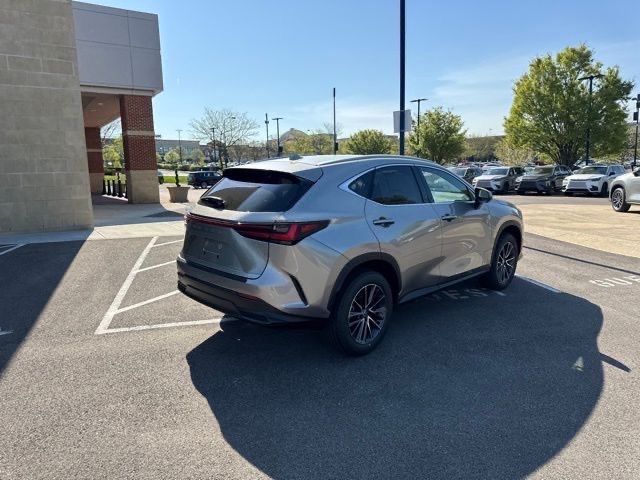 2025 Lexus NX - Photo 13