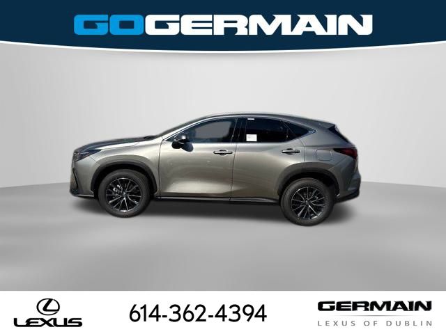 2025 Lexus NX - Photo 12