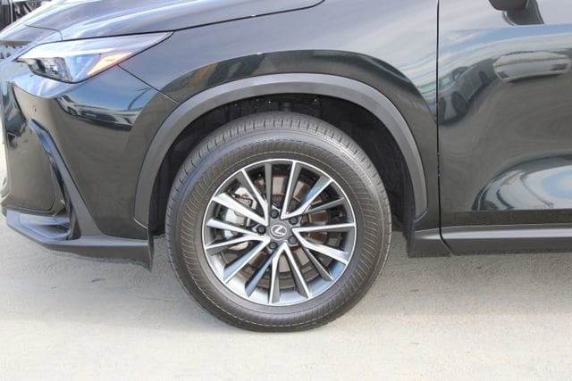 2025 LEXUS NX 350h Premium photo 4