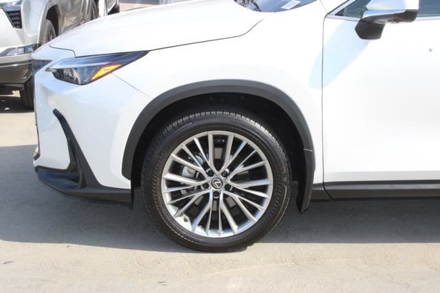 Used 2025 LEXUS NX 350 For Sale at Lexus of Glendale | VIN