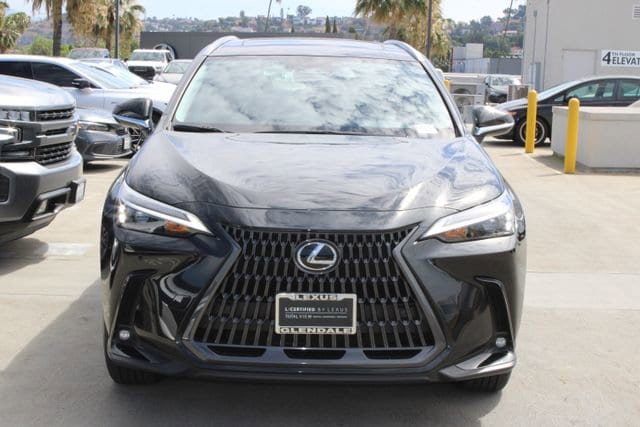 2025 LEXUS NX 350h Premium photo 2