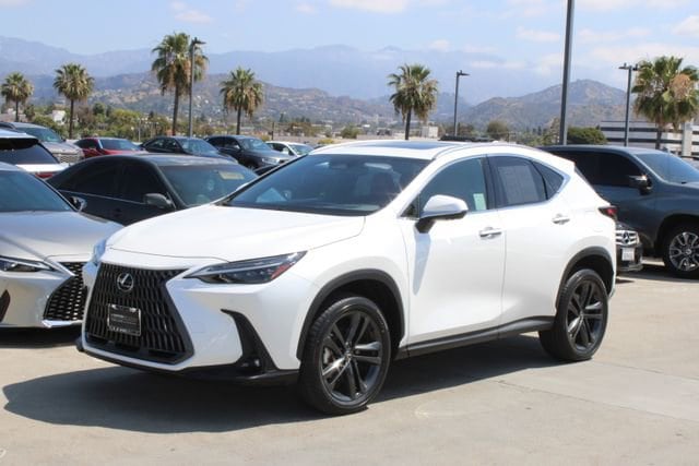 2024 LEXUS NX 450h+ Luxury photo 3