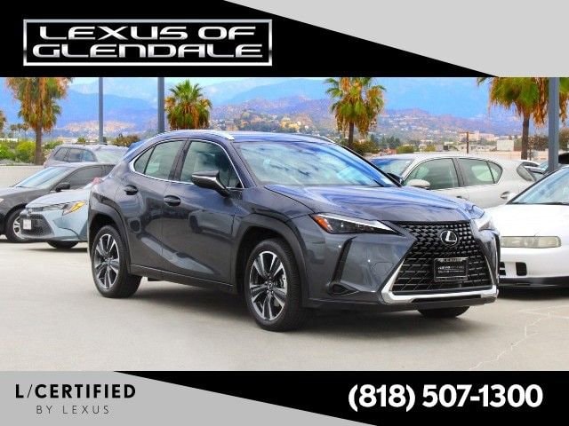 2025 Lexus UX 300h 300h's photo