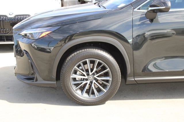 2025 LEXUS NX 350h Premium photo 4