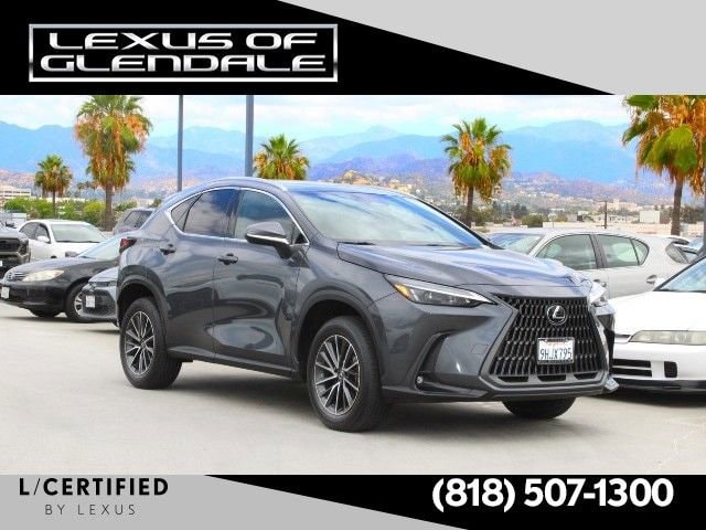 2024 Lexus NX 350h 350h AWD's photo