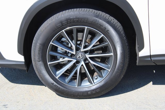 2022 Lexus NX 250 photo 3