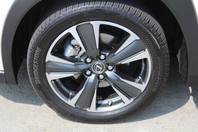 2021 Lexus UX 250h photo 4