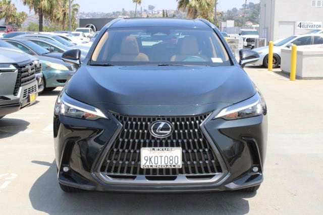 2024 LEXUS NX 350h Premium photo 2