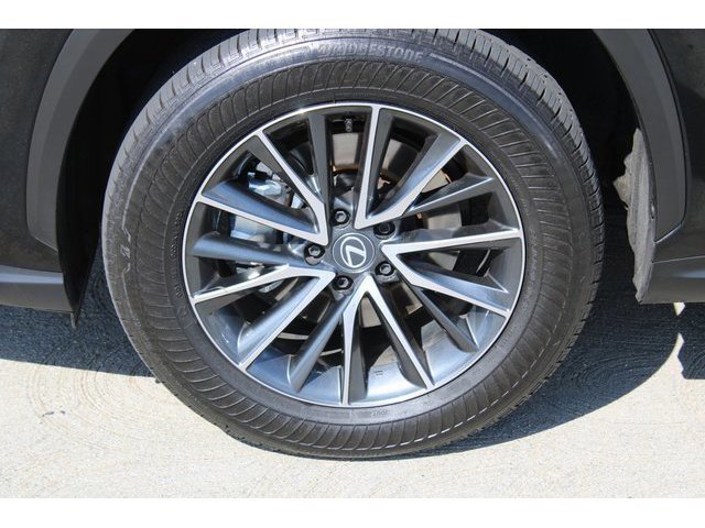 2025 Lexus NX 350h photo 4
